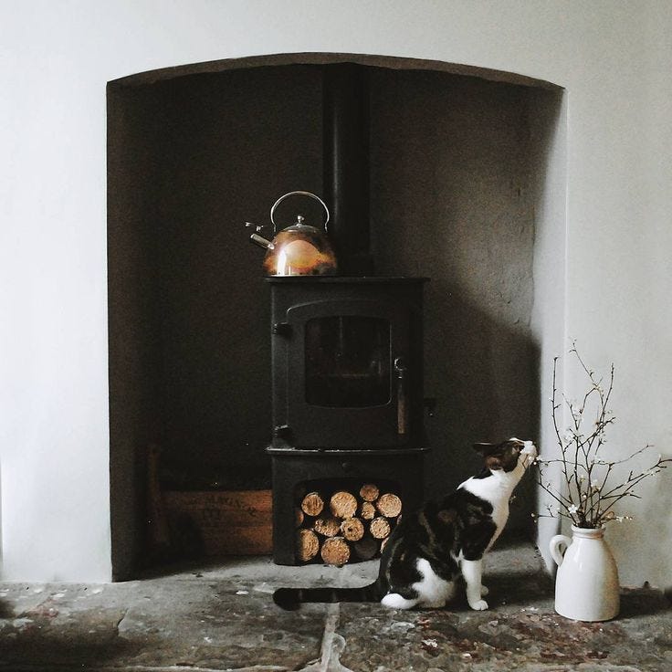 This may contain: a black and white cat sitting in front of an old fashioned stove with a pot on top