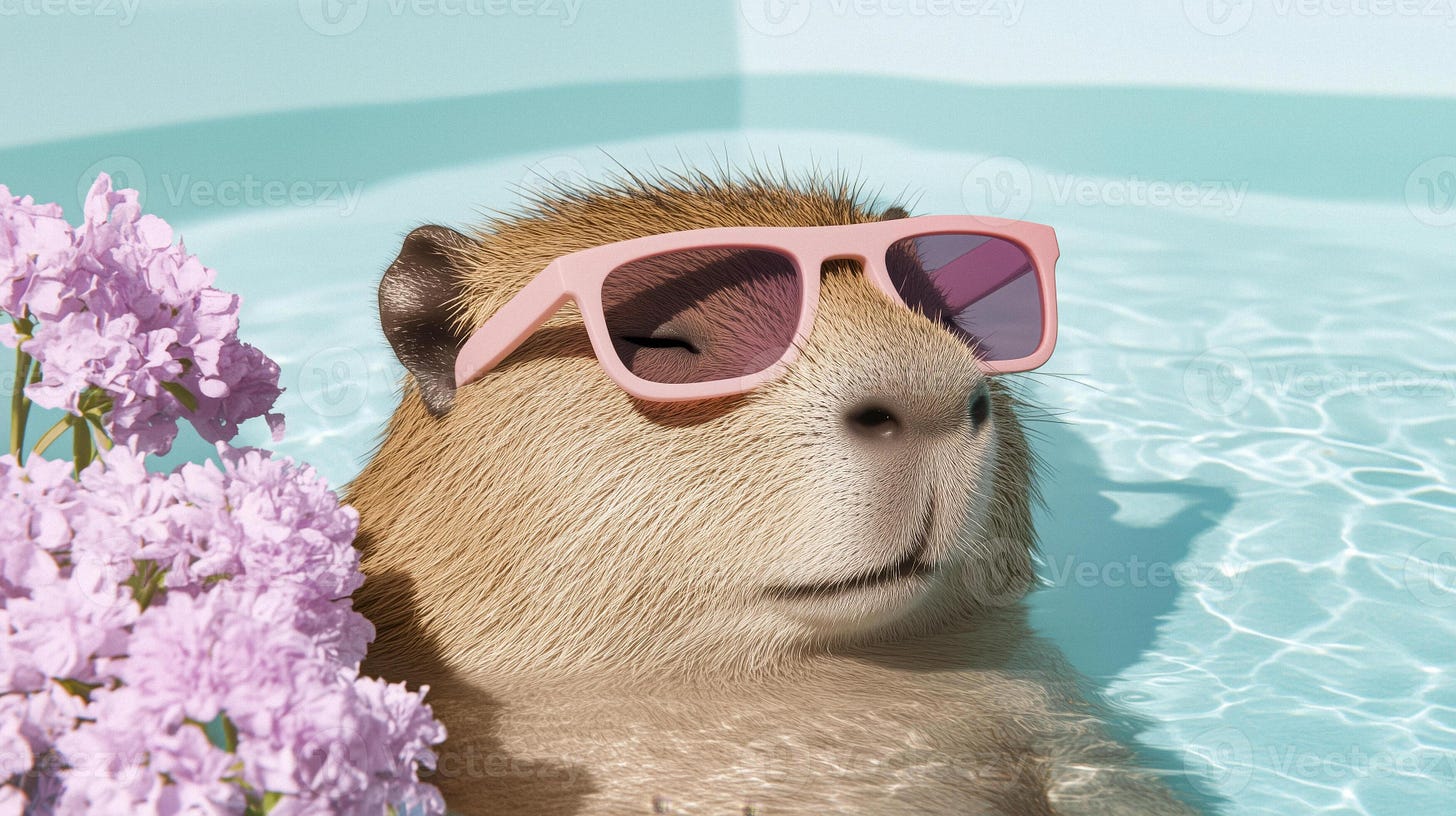 A capybara wearing sunglasses in a pool photo. 69018703 Stock Photo at  Vecteezy