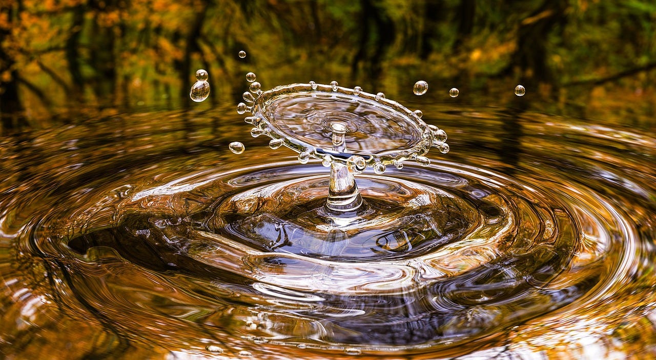Close up photo of water drop splashing onto surface of water in woods. Drop creates a flat round disc above the surface with mini drops falling off sides.