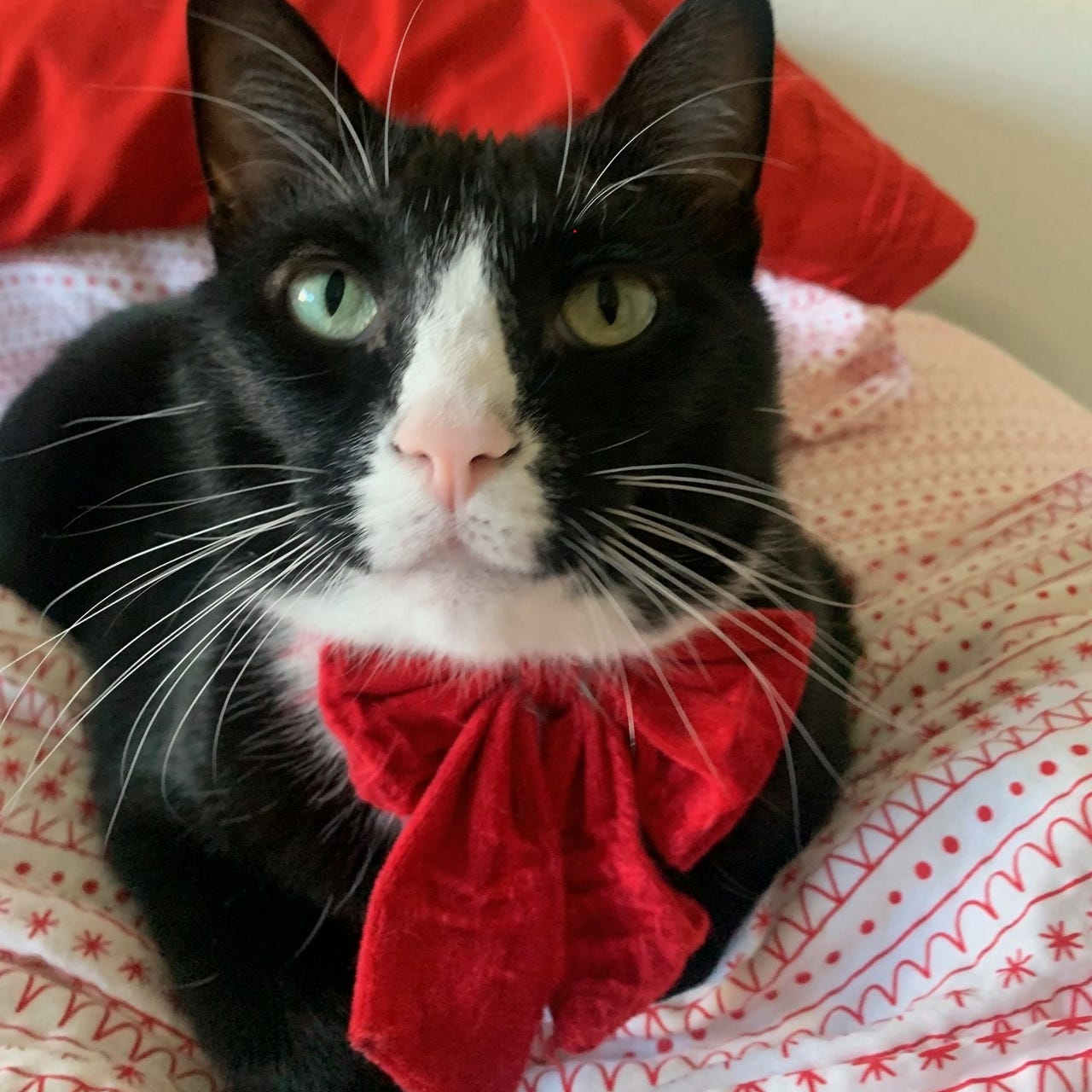 Misty Poe Art and Gardening