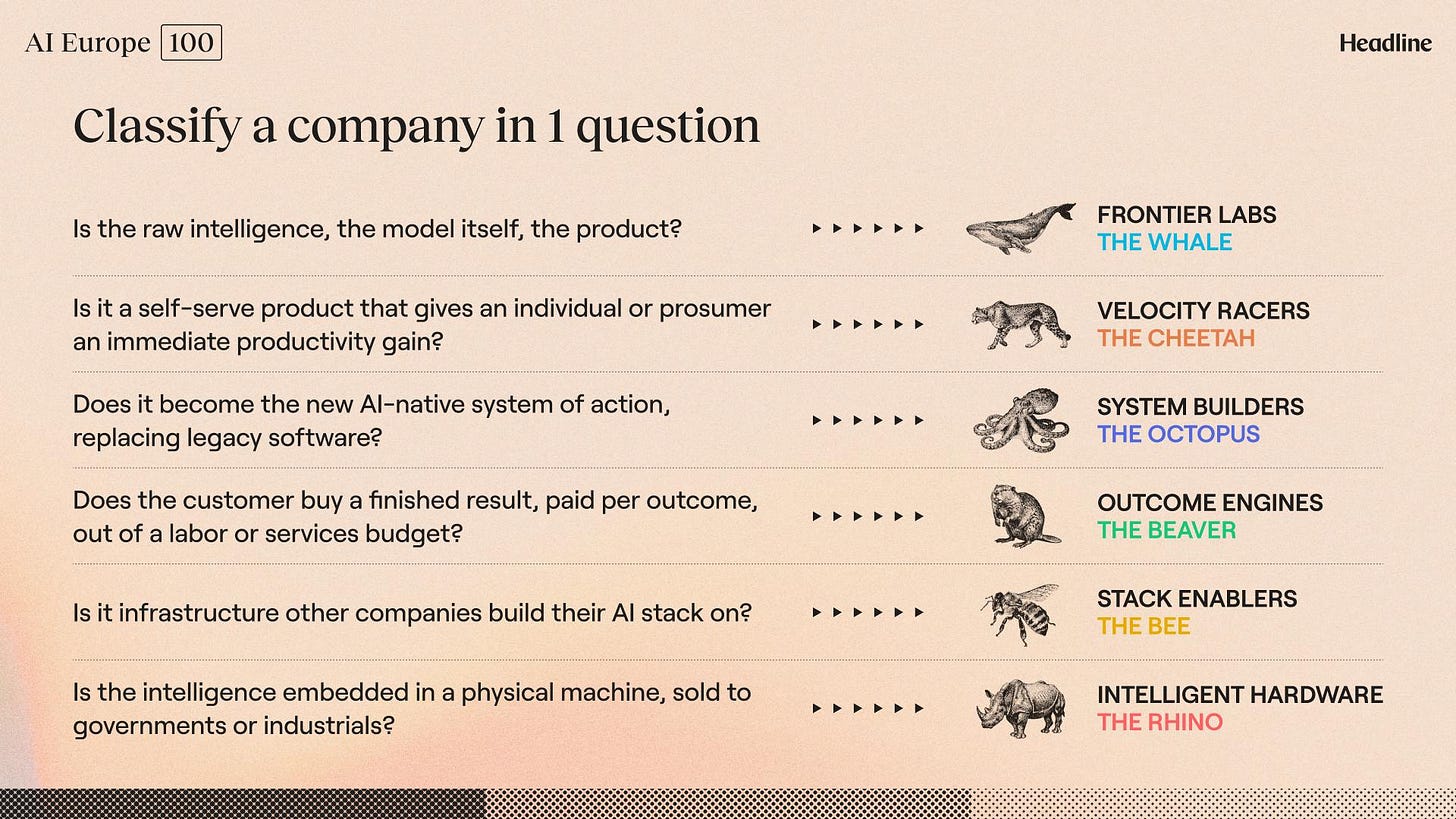 The list of questions to classify a company