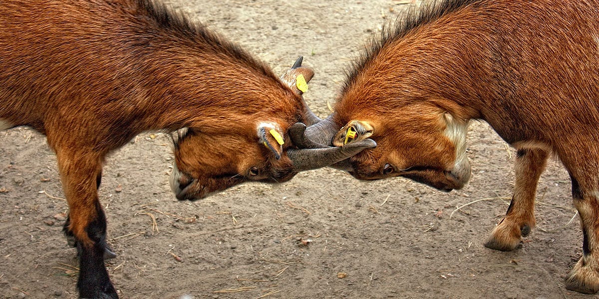 signorile.substack.com