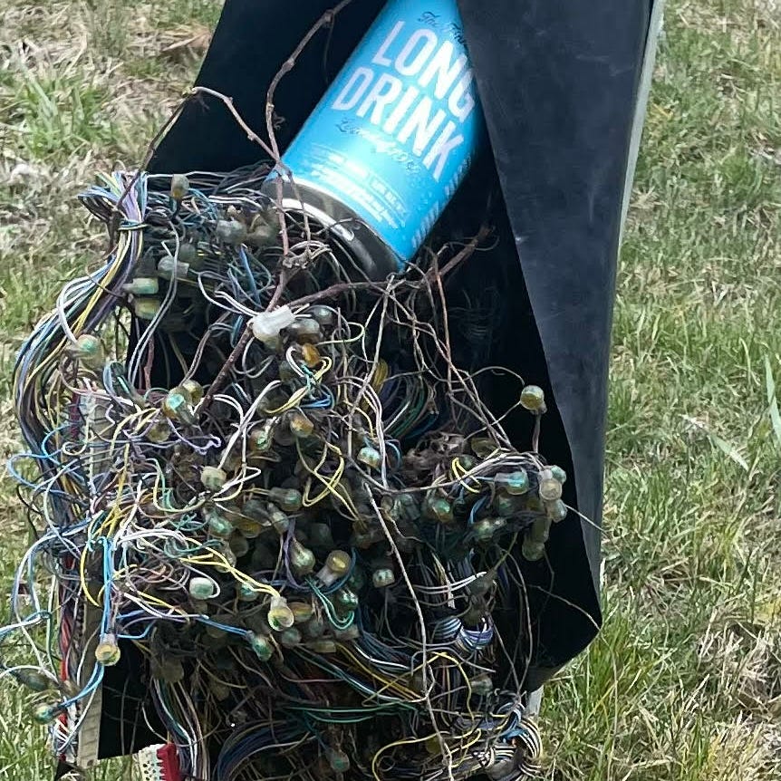 David Angel Music Network