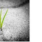 Persistency is Leadership