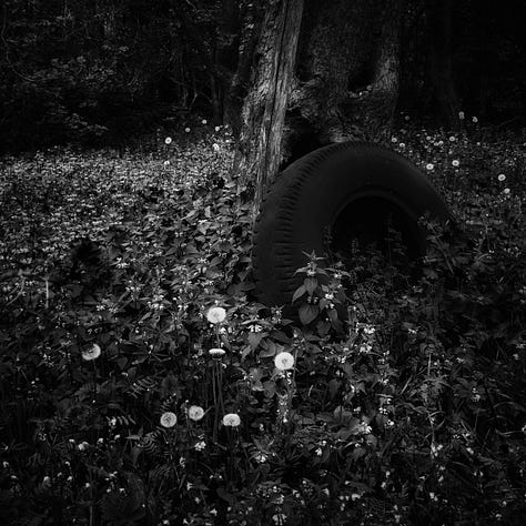 Six black and white square images that have caught my eye, left to right top row - a stack of chairs, a stack of roofing tiles, the open window in my room, an old tyre leaning against a tree with flwoers growing around it, the door of an old wooden barn and a pipe with a curve to a tap