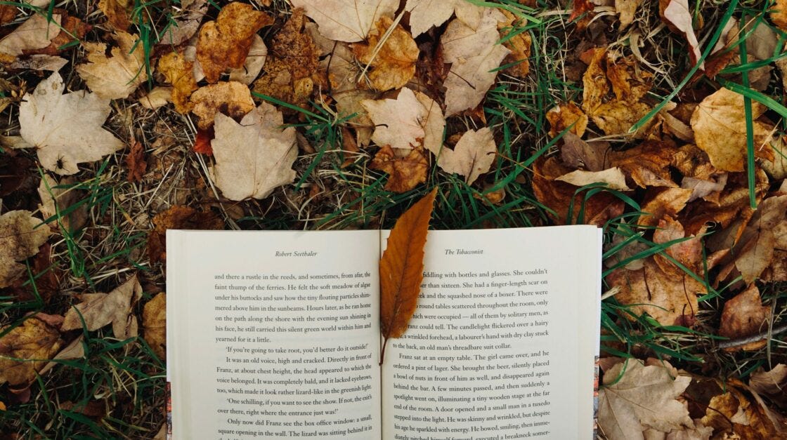 NaNoWriMo Tips for National Novel Writing Month | Writers.com NaNoWriMo Tips for National Novel Writing Month | Writers.com