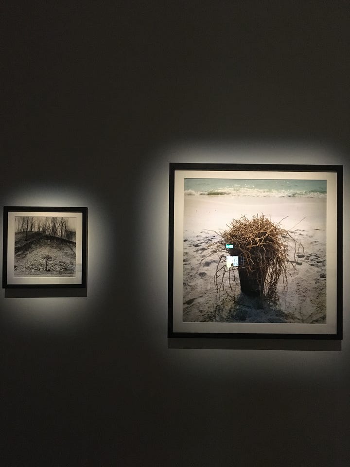 Robert Smithson — Upside Down Tree I, II, III [1969] / Mariele Neudecker — And Then the World Changed Colour: Breathing Yellow [2019].