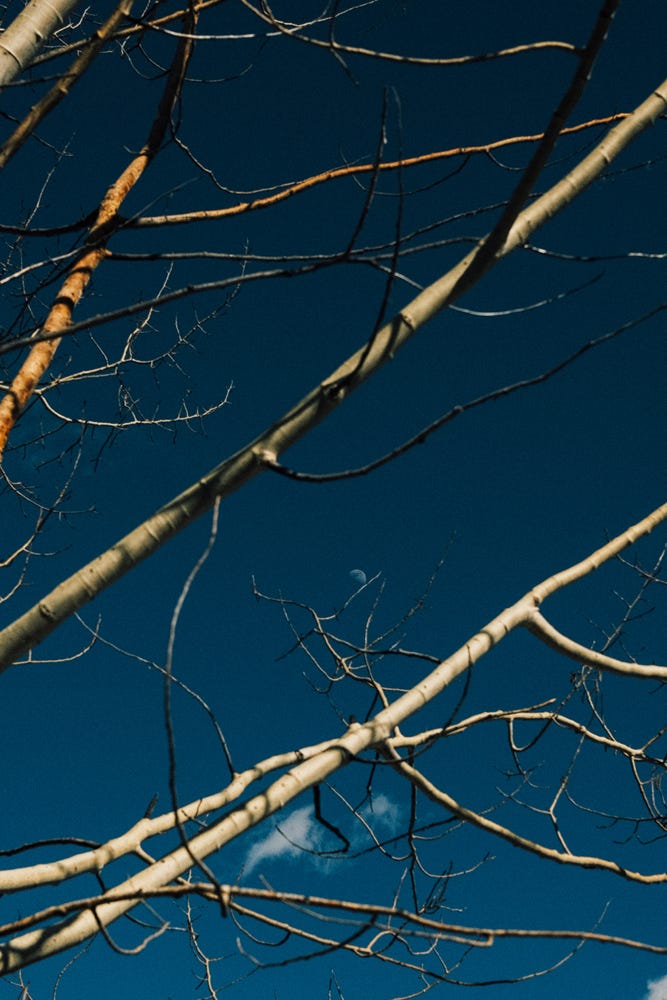 Fuji photographs of life in Montana by Tyler Knott Gregson