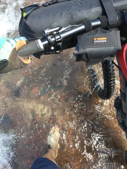 Wading a frosty-cold stream on the shakeout ride.