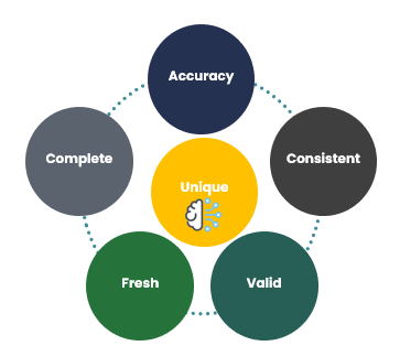 Data Quality Characteristics Pictogram Infographic