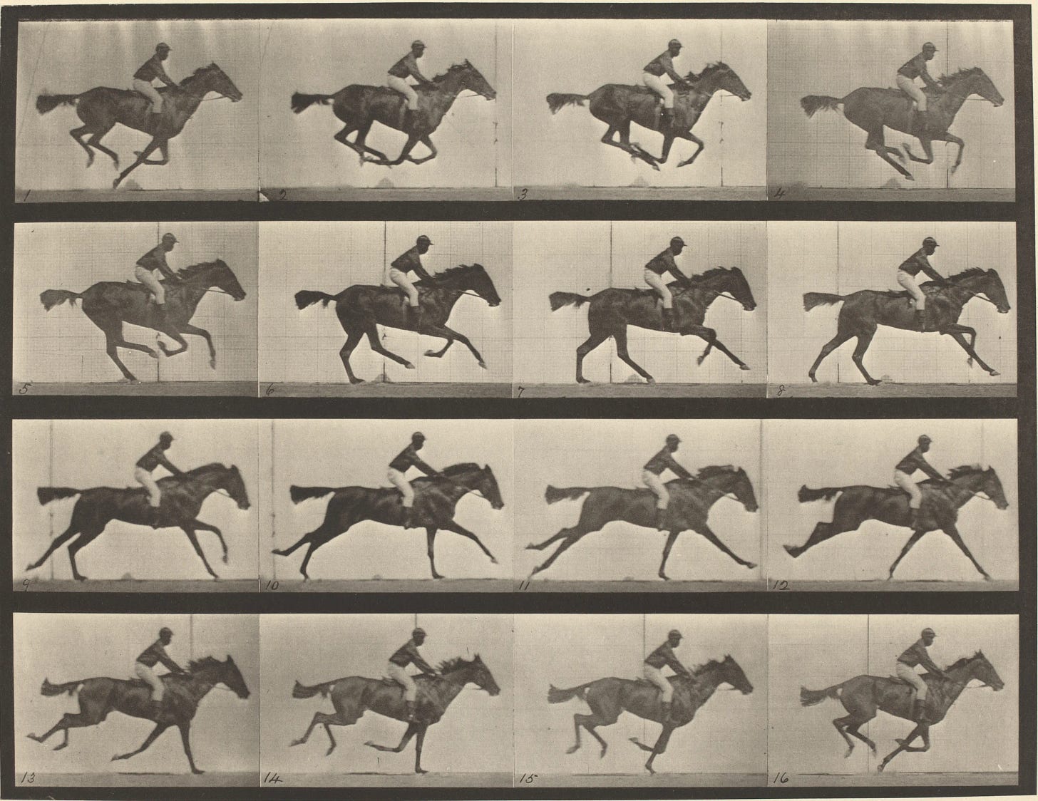 How the first moving picture originated from a Stanford controversy
