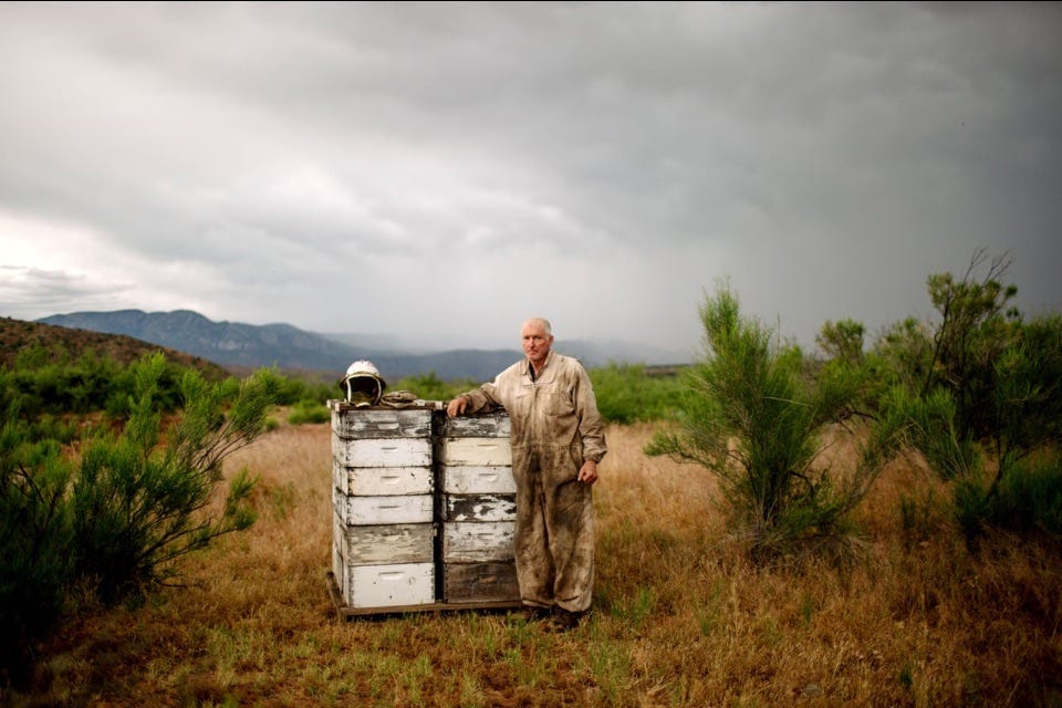 Image beekeeper with hives. Image beekeeper with hives.
