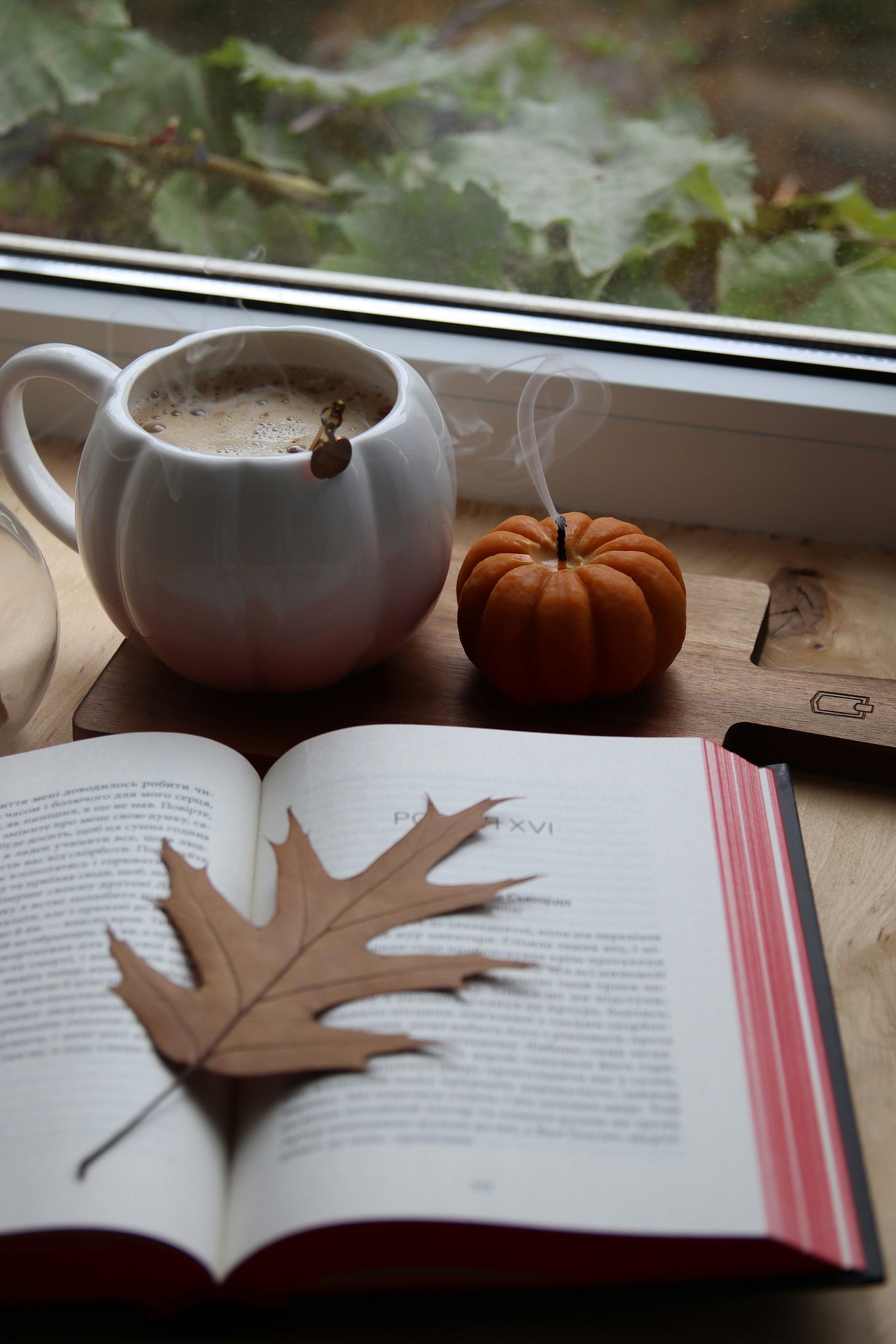 A book open with a fall leaf on its page rests on a table by a white pumpkin mug and orange pumpkin candle, overlooking a window with a view of trees.