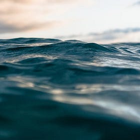 Go With The Flow: How Tracking Cash Flow Can Transform Your Business for the Better