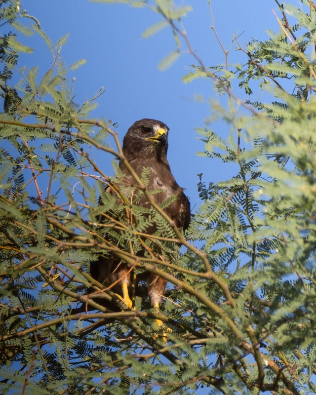 20250801-Manville-646-Edit.jpg 20250801-Manville-646-Edit.jpg