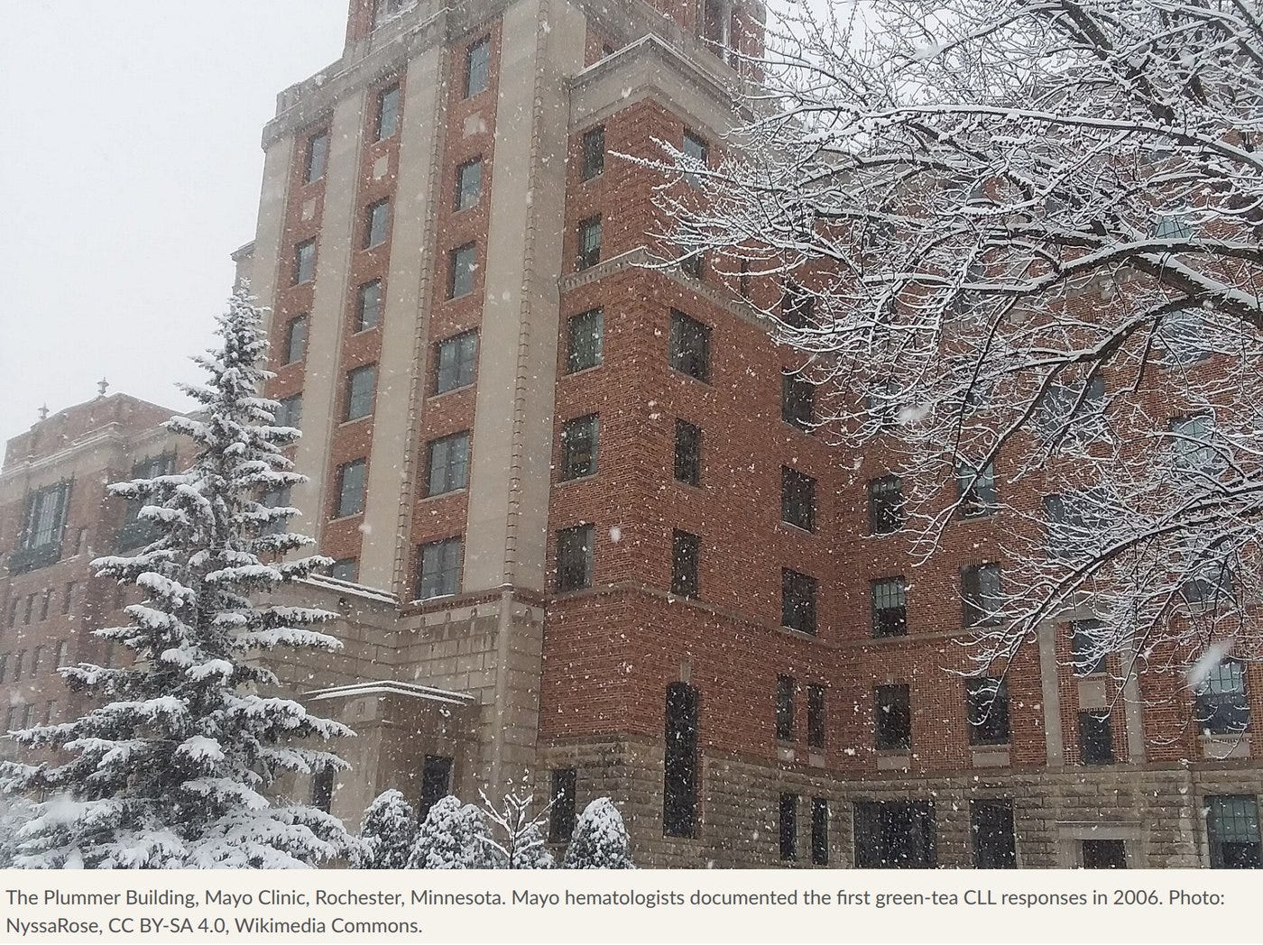 Mayo Clinic, Rochester, Minnesota. Mayo Clinic, Rochester, Minnesota.