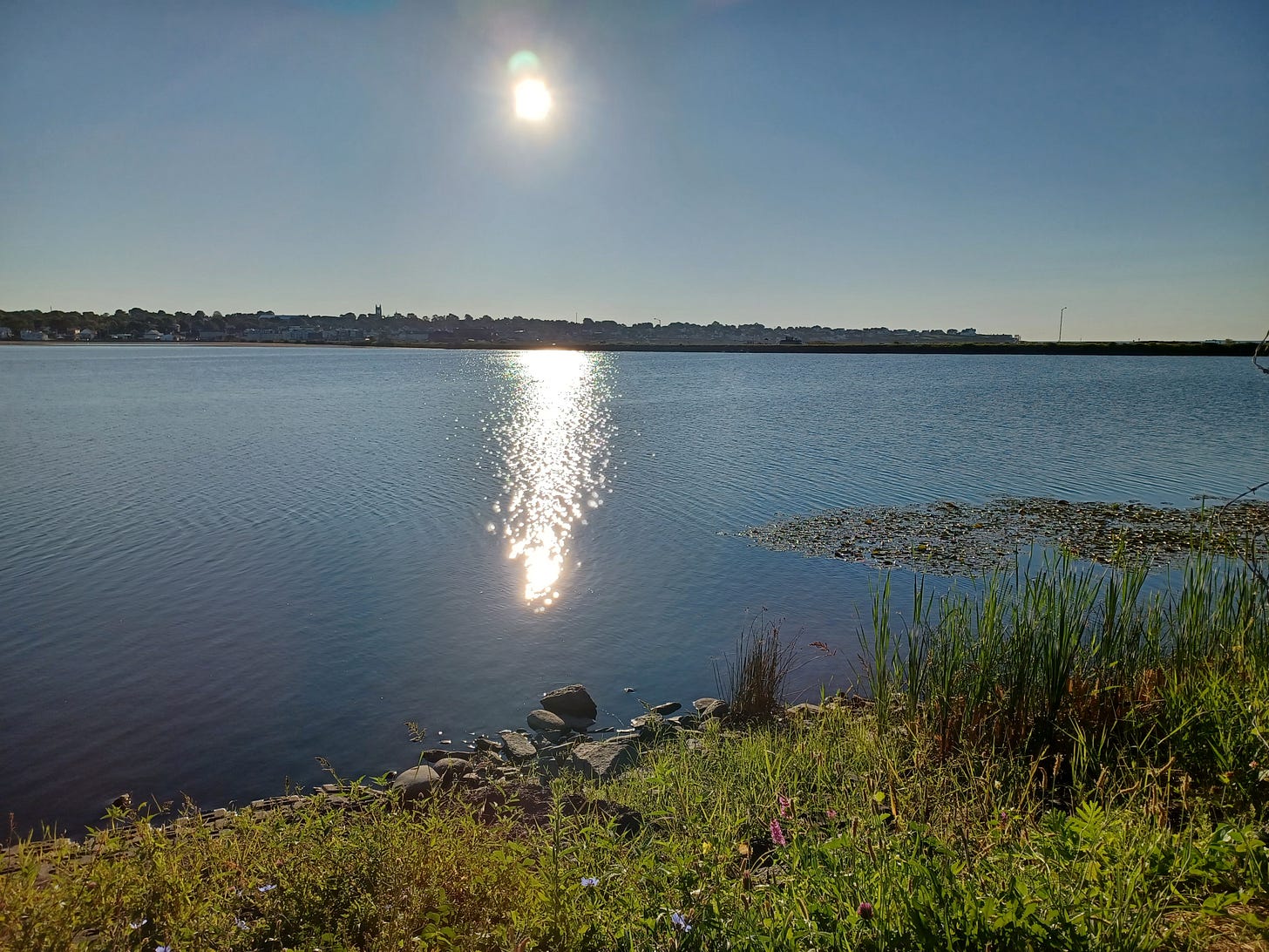 Easton's Pond, Newport, RI, August 28, 2025