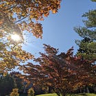 Animated Autumn Weather for Currently