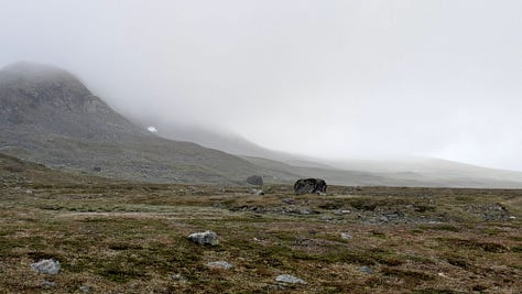 Highlights from the Sarek hiking adventure