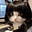 Celena B's avatar