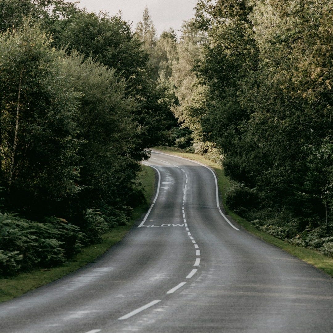 gray concrete road between green trees during daytime gray concrete road between green trees during daytime