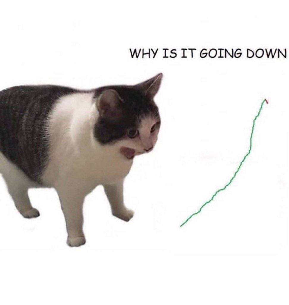 Vet auf X: „Why is it going down? https://t.co/hwSWepEyVp“ / X