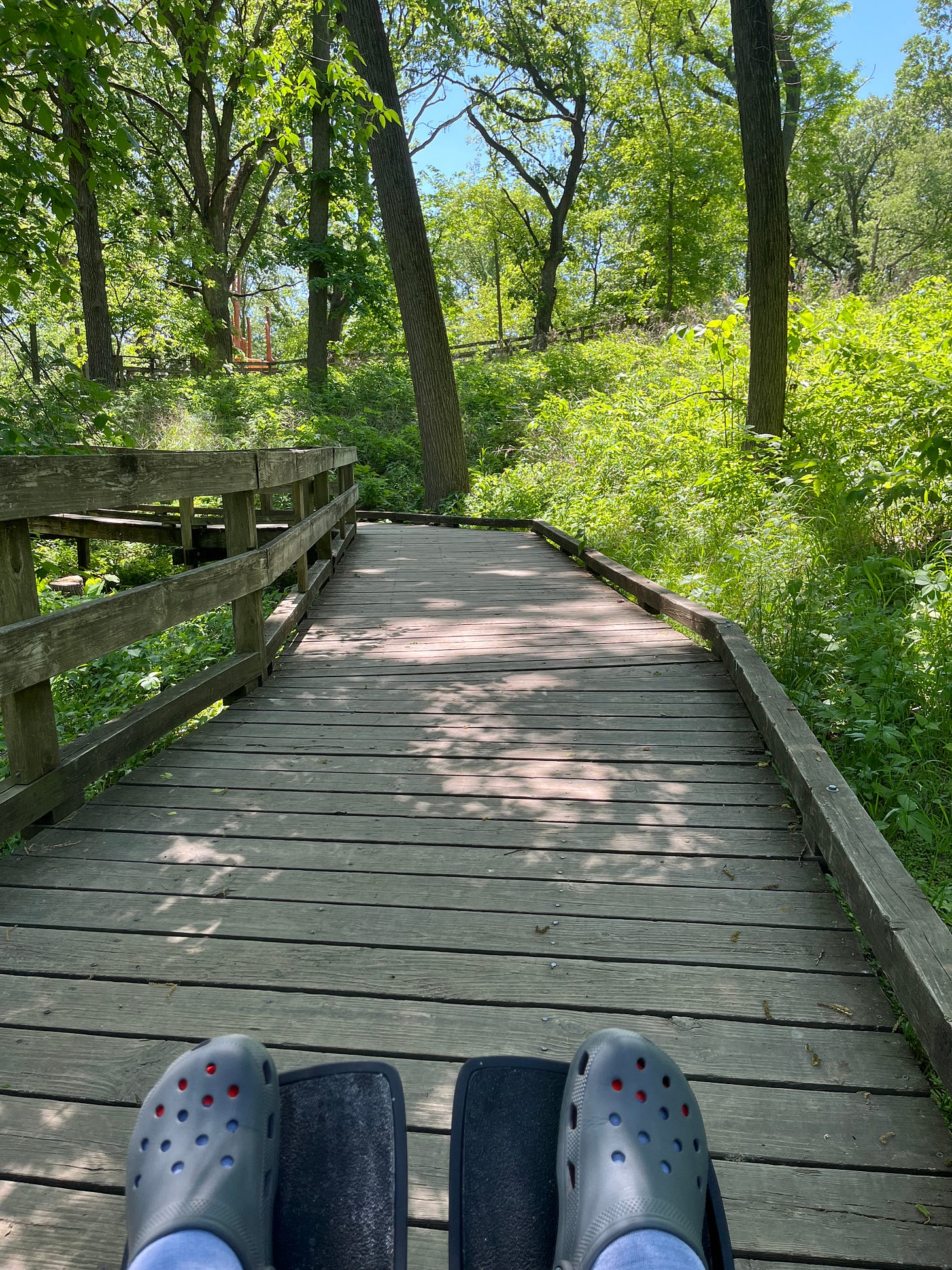 Forest in sunshine with a boardwalk weaving through it. In the foreground you can see wheelchair feet rest and blue crocs for Debbie‘s feet.