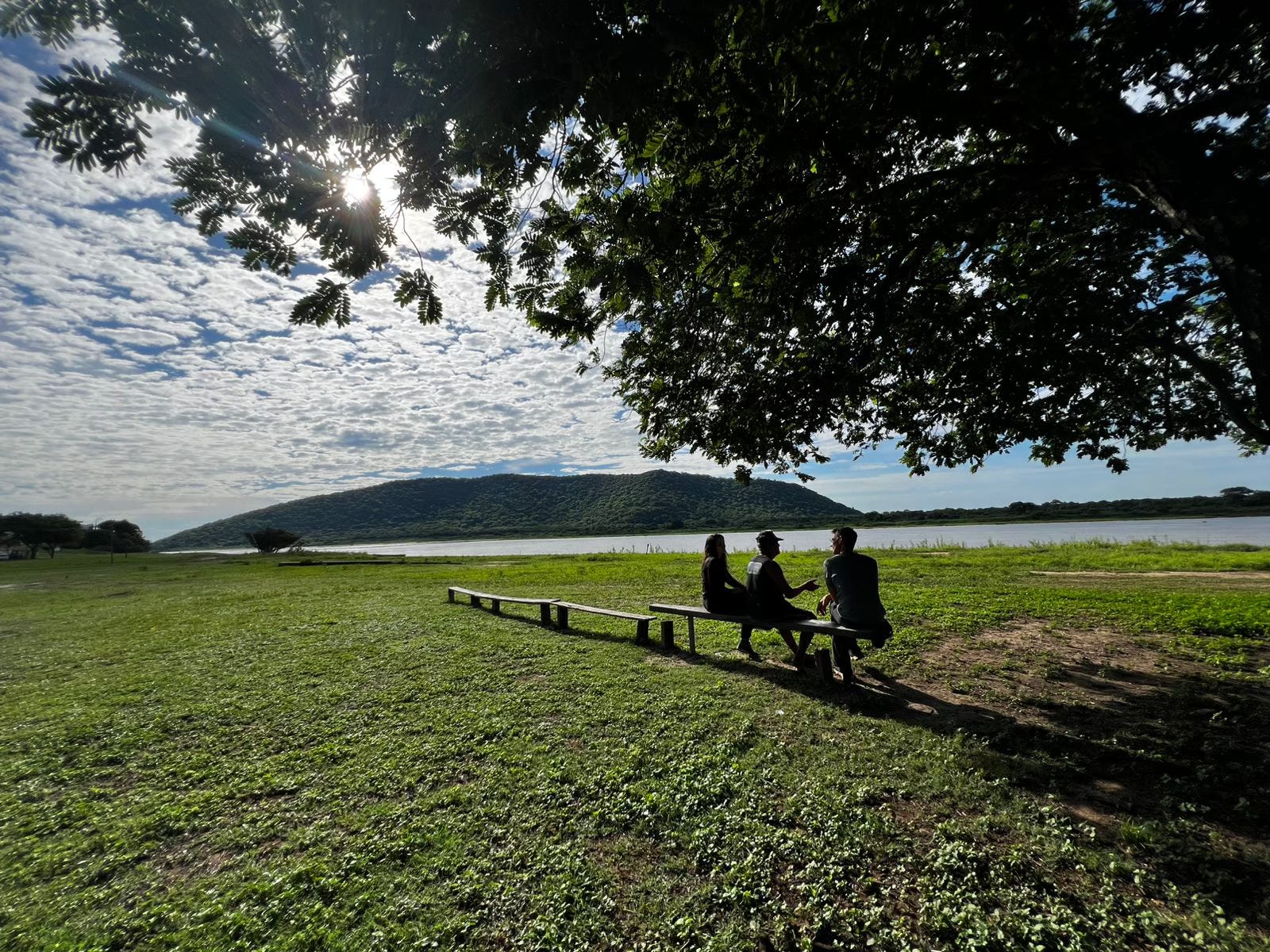 Project NAVIO and the Brazilian Institute of Behavioral Sciences