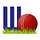Wicked Cricket