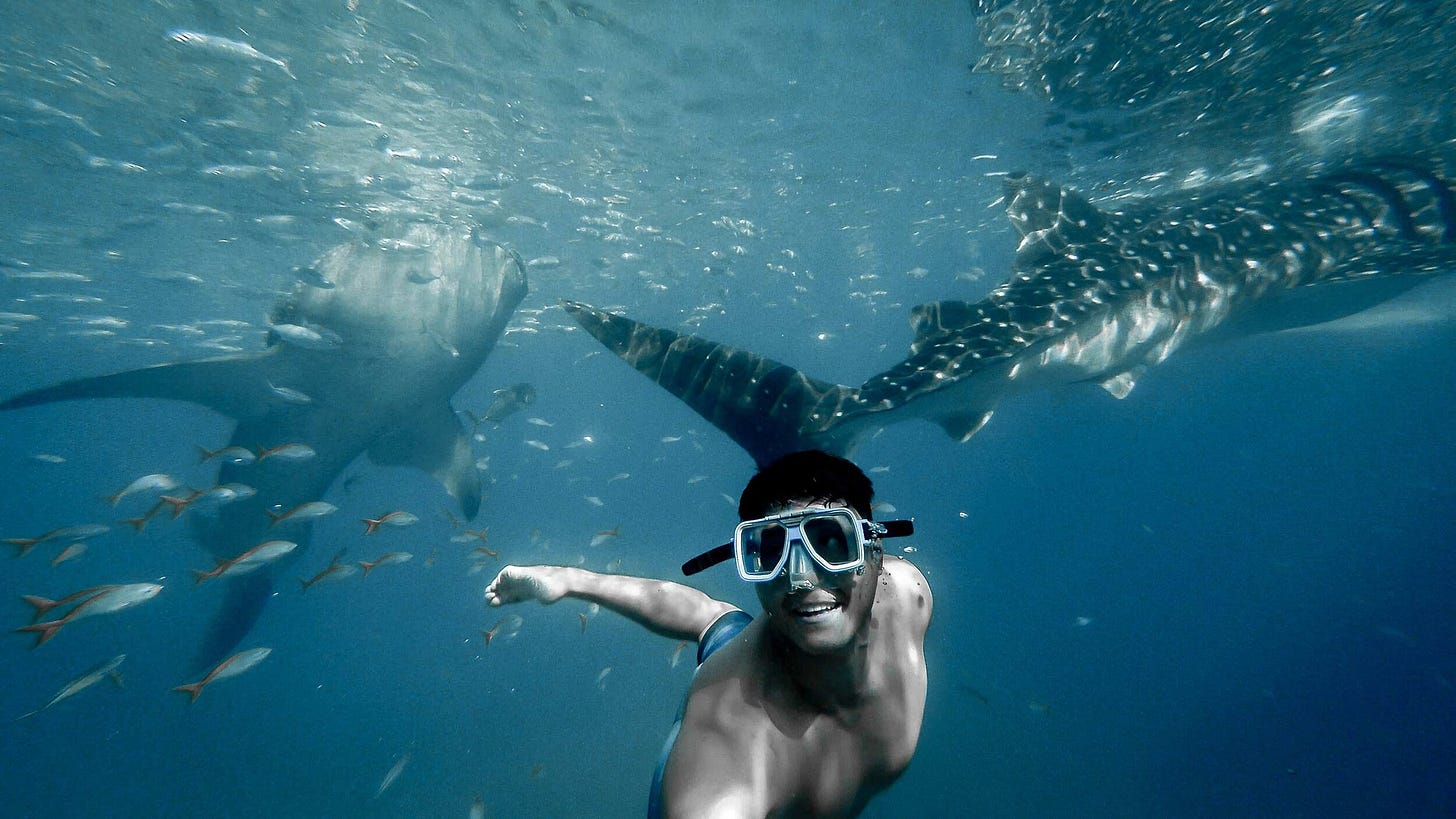 Skinny Dip Travel