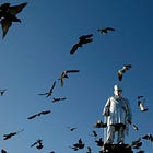 Afrikaners het voor die weste wakker geword