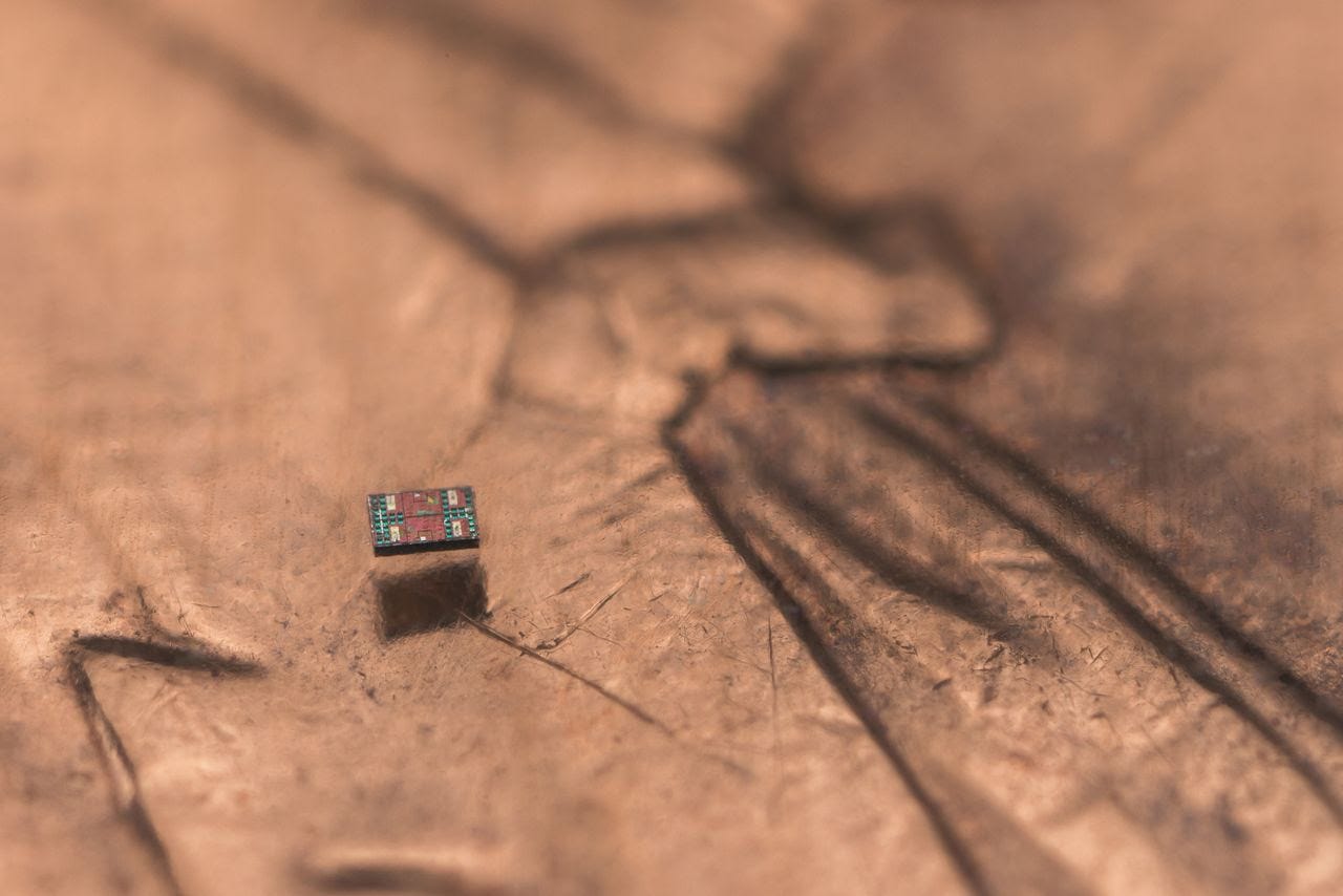 Scientists at the University of Pennsylvania and University of Michigan describe their invention as the world’s smallest robot able to make decisions for itself. (Michael Simari/University of Michigan)