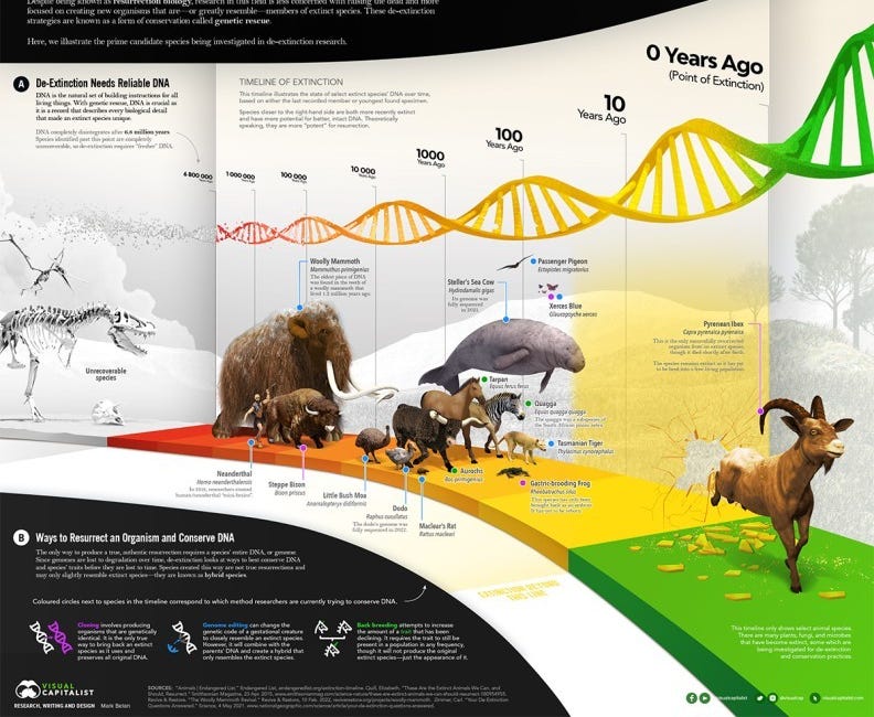 Wondering and worrying about de-extinction efforts