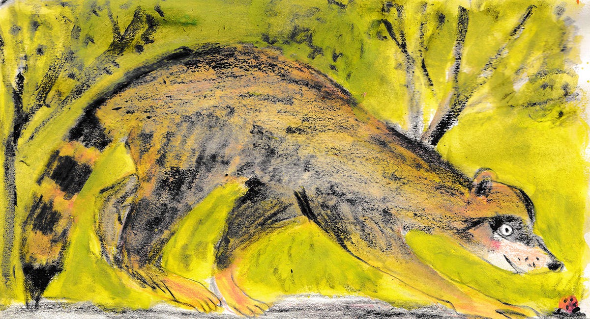 August Drawing Delights