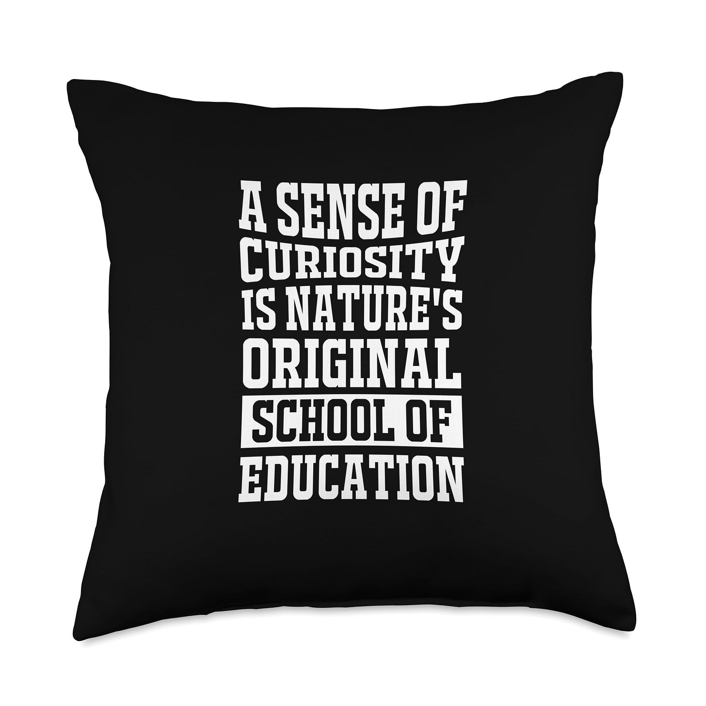 Amazon.com: A Sense of Curiosity Motivational Educational Quotes Throw  Pillow : Home & Kitchen
