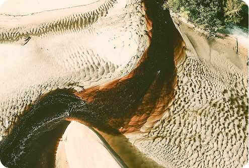 Climate-Tech Trends 2026: What's Next for UK & European Startups Climate-Tech Trends 2026: What's Next for UK & European Startups