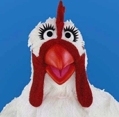 Headshot of Camilla the Chicken. 