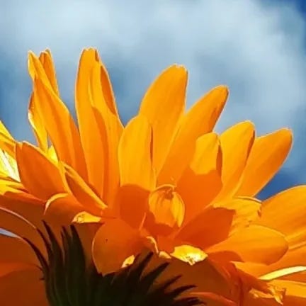 Weaving a Magical Life