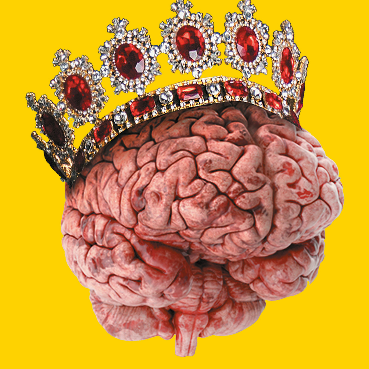 Triple Layered Brain