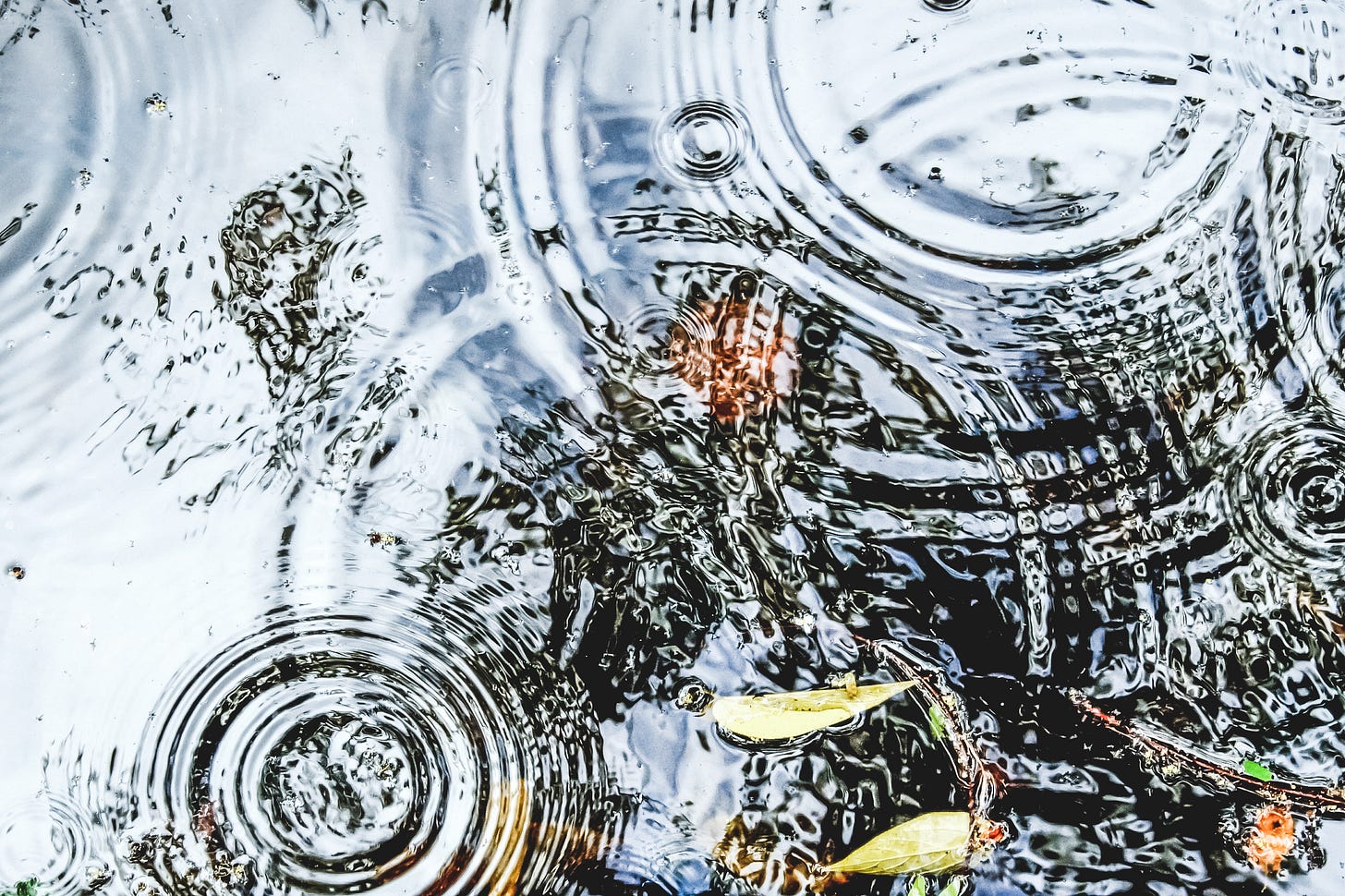 Ripples in a puddle Ripples in a puddle