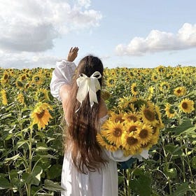 Which Oils are Seed Oils?