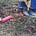 Paintball Dirt 