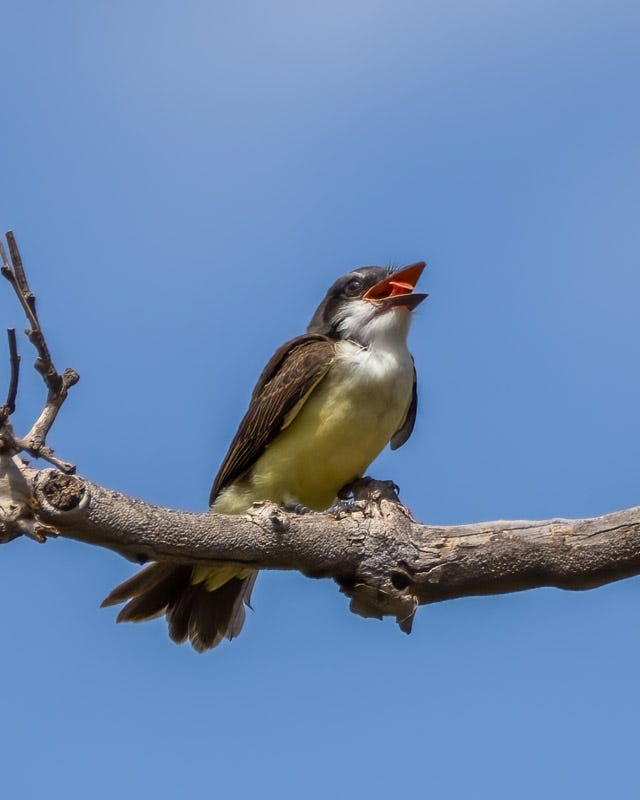 20250822-BoxCanyon-207-Edit.jpg 20250822-BoxCanyon-207-Edit.jpg