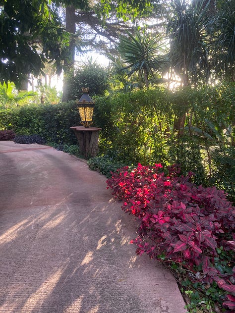 The Surrender--pics of gardens, flowers, cross, and archway