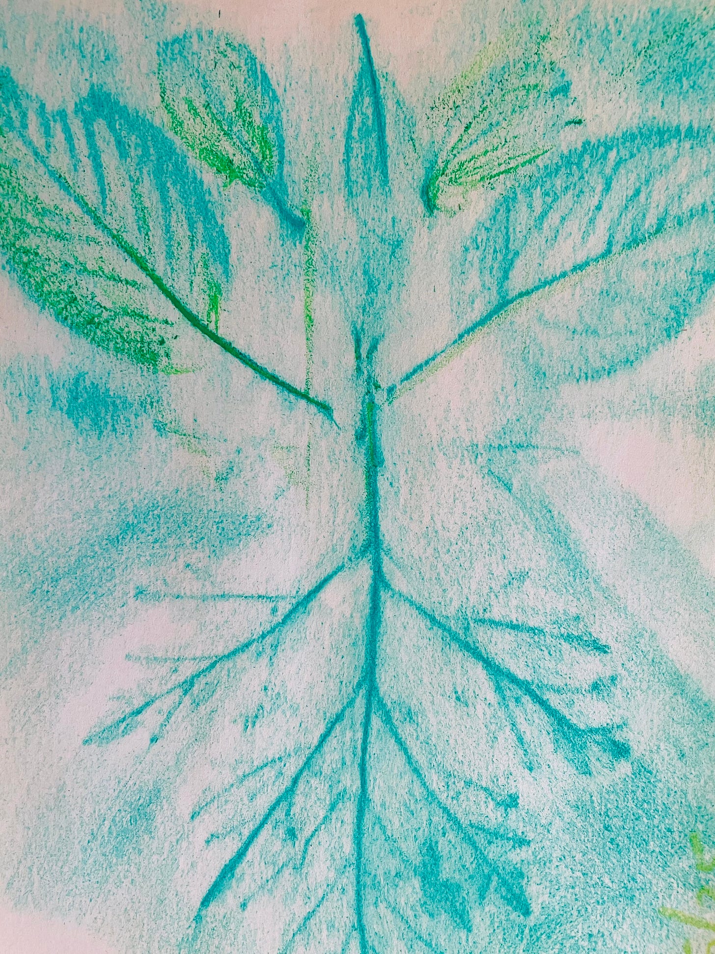 leaf rubbing created with teal and bright green pastels