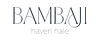 Bambaji Haven Hale on Human Design 