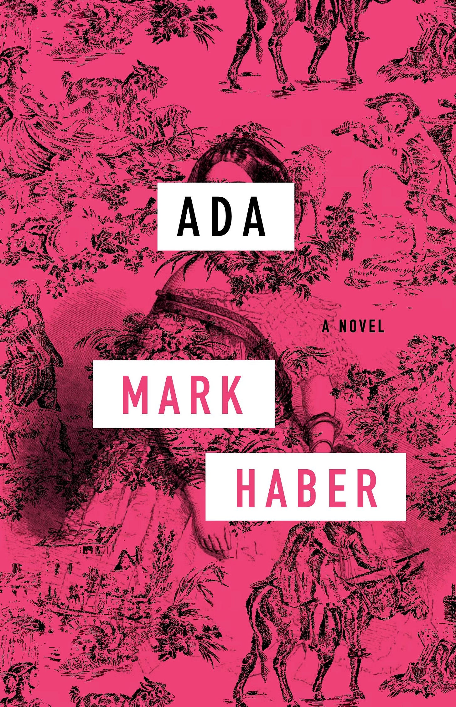 Book cover of 'Ada' by Mark Haber with pink background and black illustrations Book cover of 'Ada' by Mark Haber with pink background and black illustrations