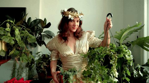 Woman holding plants GIF