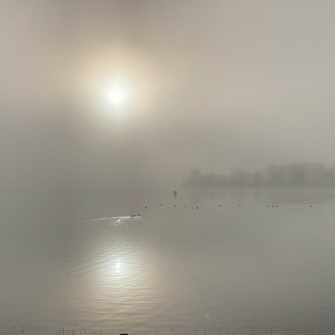 Reflections in Poetry