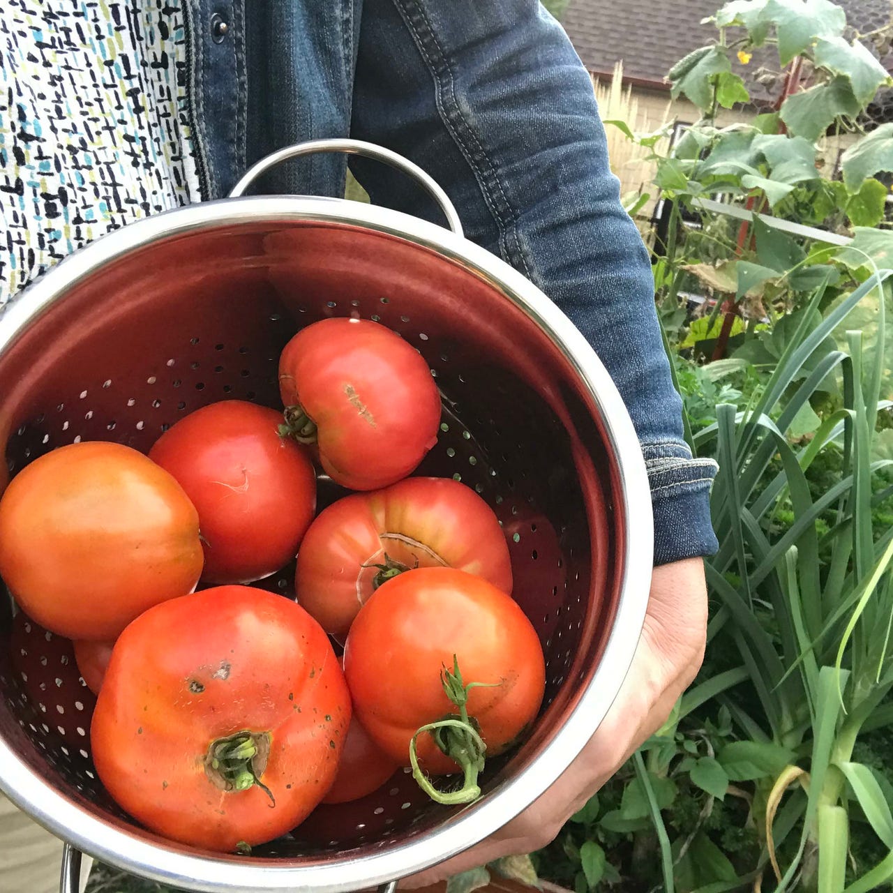 Your Northern Garden